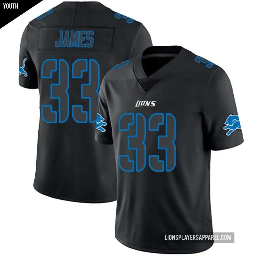 Youth Detroit Lions ＃33 Craig James Black Impact Limited Jersey