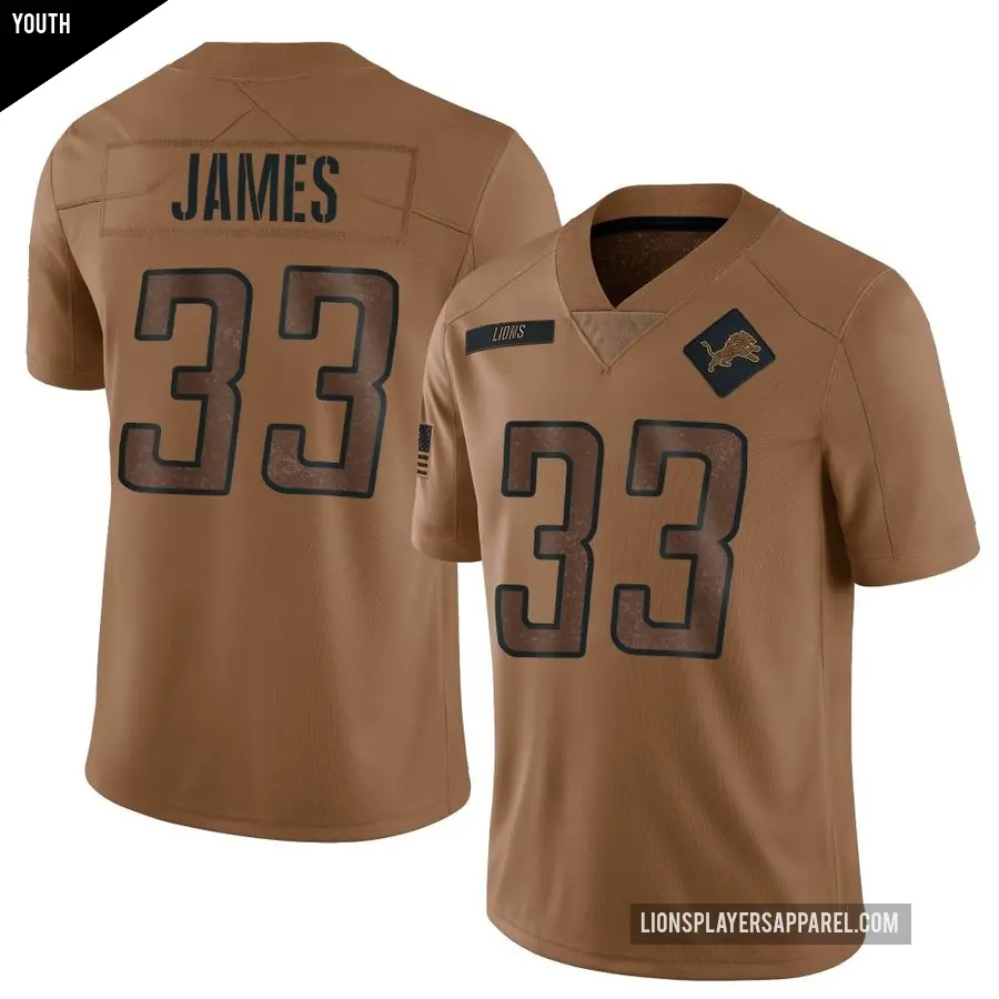 Youth Detroit Lions ＃33 Craig James Brown Limited 2023 Salute To Service Jersey