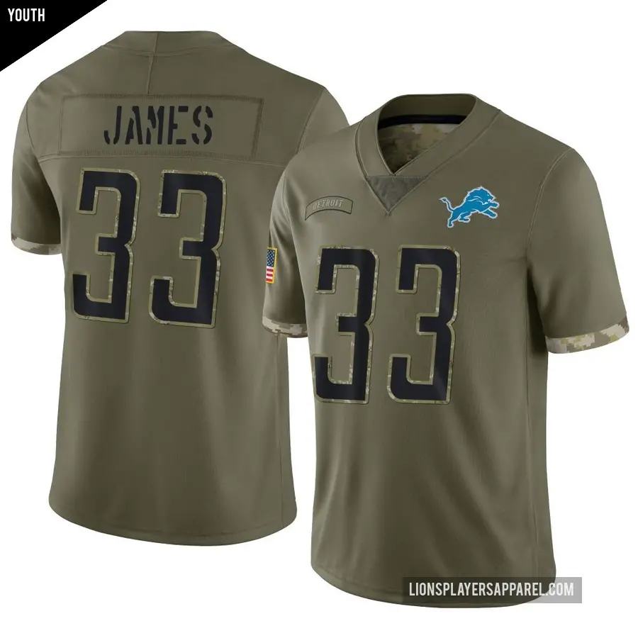 Youth Detroit Lions ＃33 Craig James Olive Limited 2022 Salute To Service Jersey